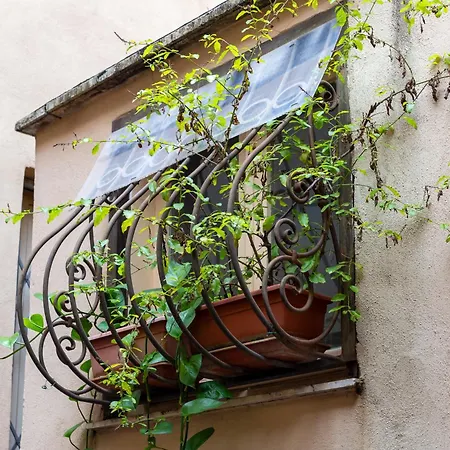 Apartment Iflat New Cozy Campo De' Fiori Flat